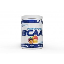INSPORT BCAA 500 gram 